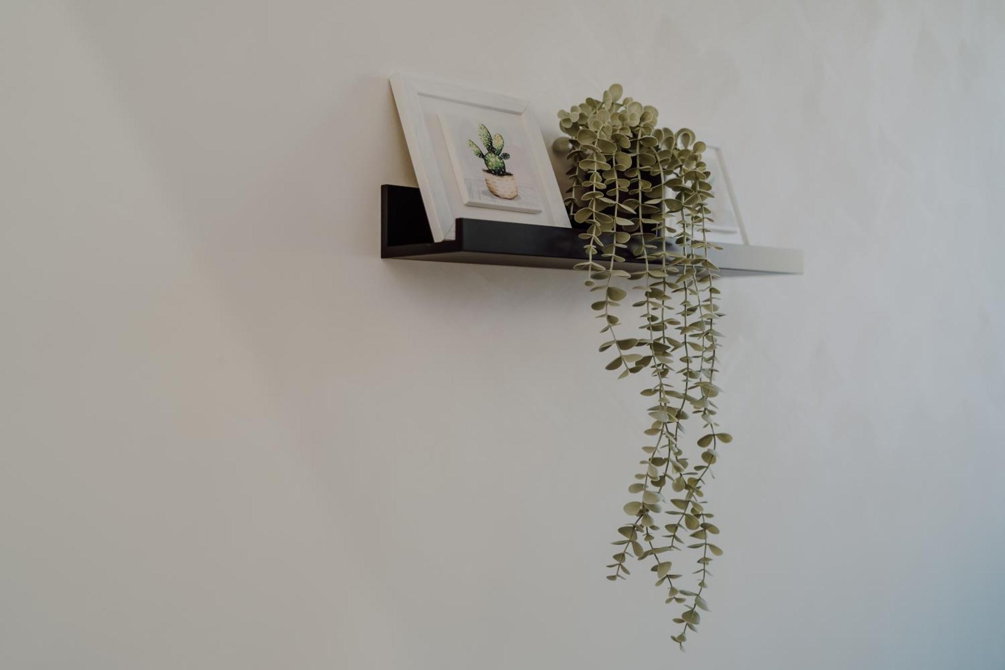 Domus Aeterna - Re Di Roma Otel Dış mekan fotoğraf